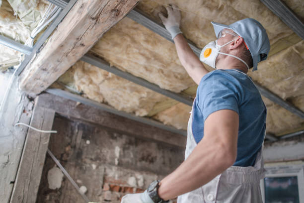 Best Insulation Maintenance and Repair in Shady Point, OK